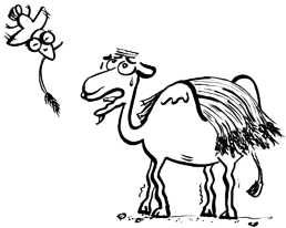 StrawThatBrokeTheCamelsBack